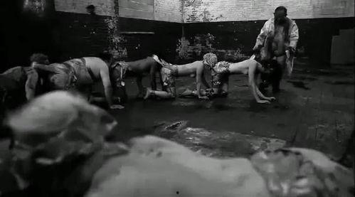 人体蜈蚣4手机在线观看,手机在线惊悚之旅  第2张